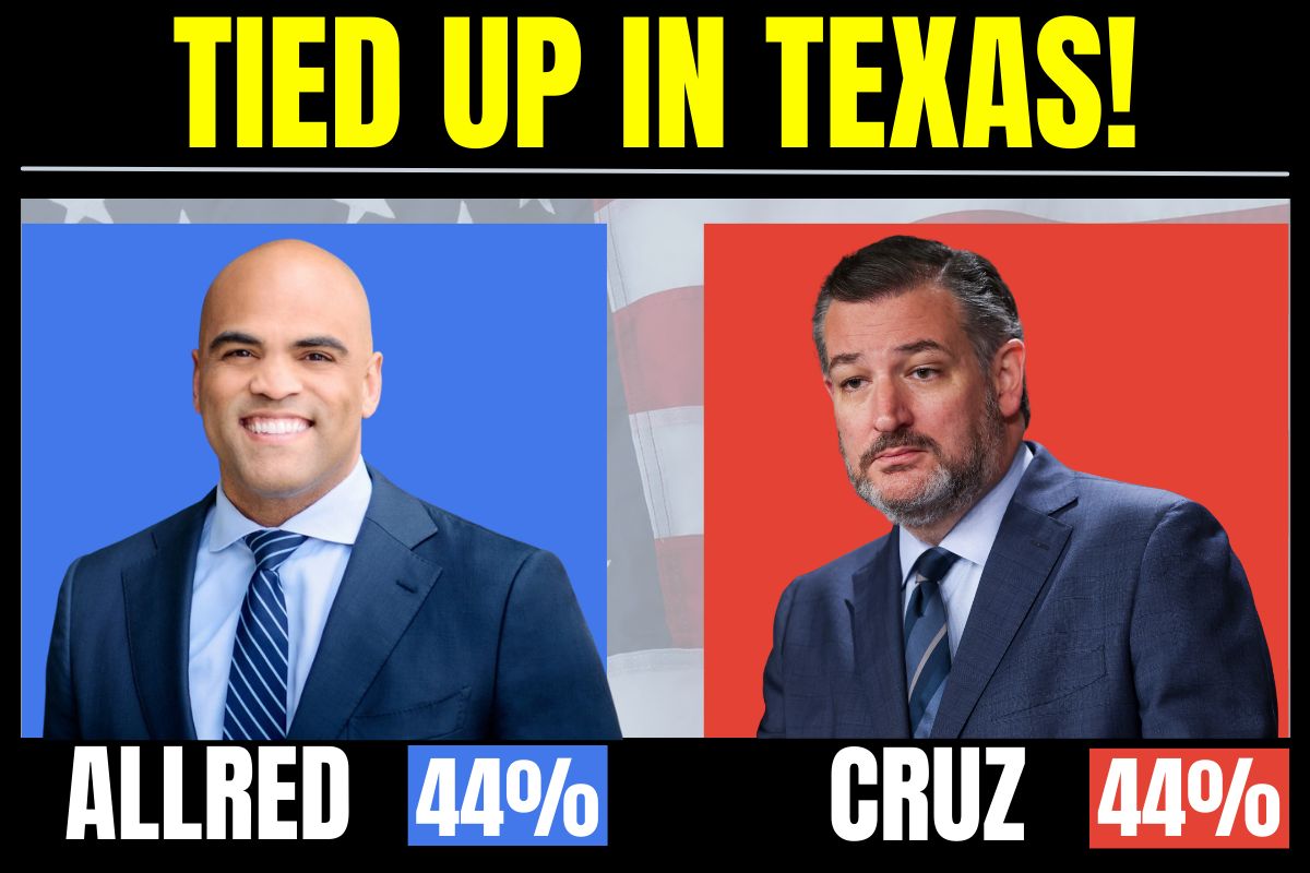 Colin Allred: 44% / Ted Cruz: 44%